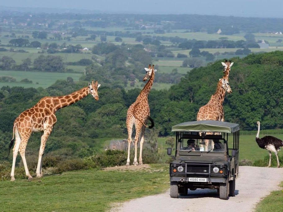 Cheap UK Days Out, Kids discounts for 2026 easter holidays, frugal mum guide, port lympne safari image