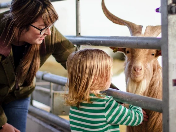 Cheap UK Days Out, Kids discounts for 2026 easter holidays, frugal mum guide, rand farm park image