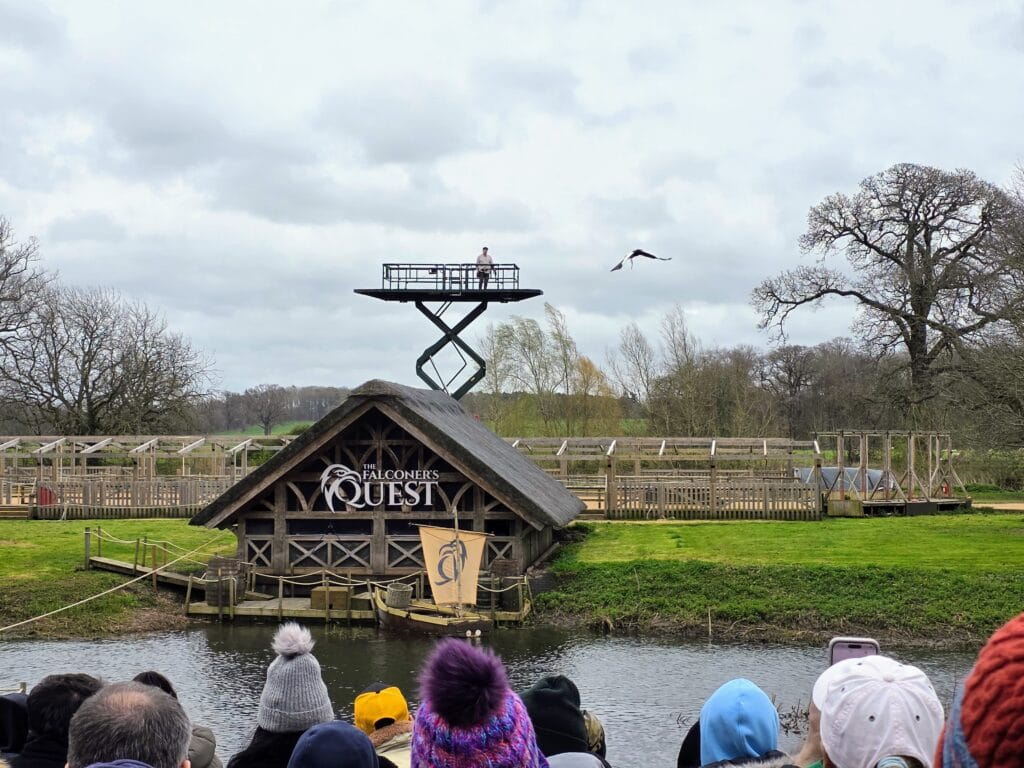 Warwick Castle Hotel Review, frugal mum travel guide, photo of warwick castle falconry show