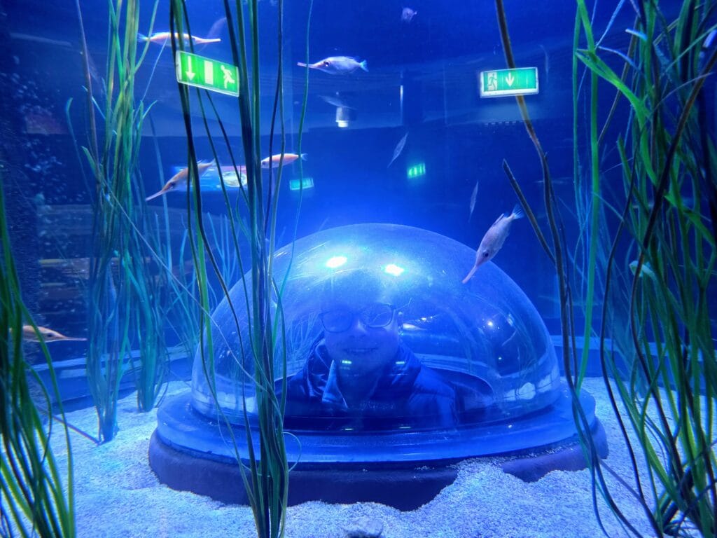 Sea Life Weymouth Aquarium Review, frugal mum guide, photo of bubble