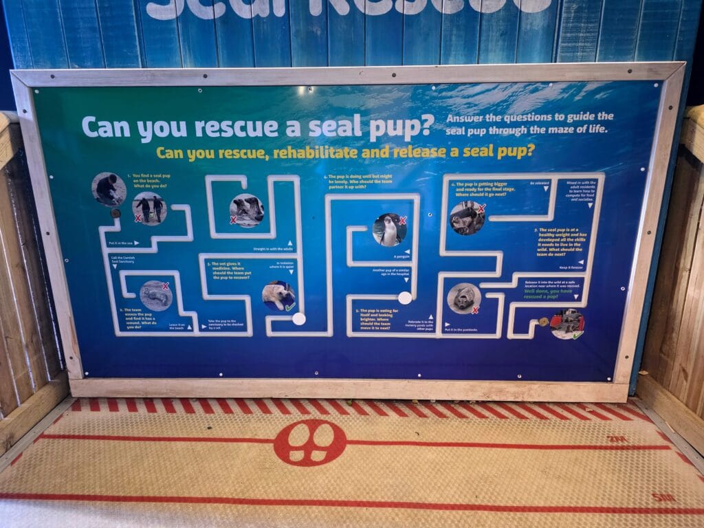 Sea Life Weymouth Aquarium Review, frugal mum guide, photo of learning board