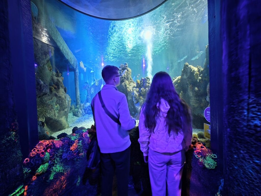 Sea Life Weymouth Aquarium Review, frugal mum guide, photo of tank