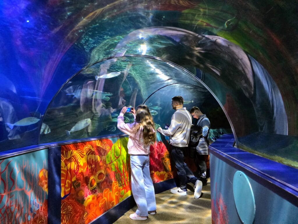 Sea Life Weymouth Aquarium Review, frugal mum guide, photo of tunnel