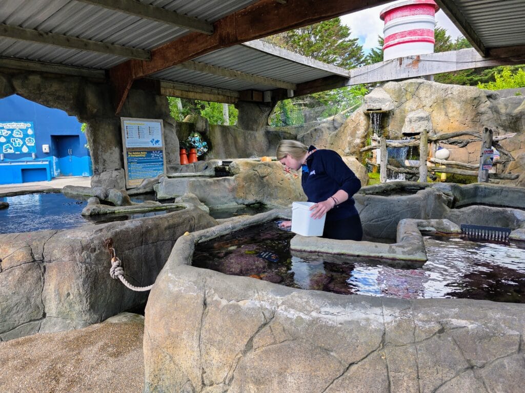 Sea Life Weymouth Aquarium Review, frugal mum guide, photo of pools
