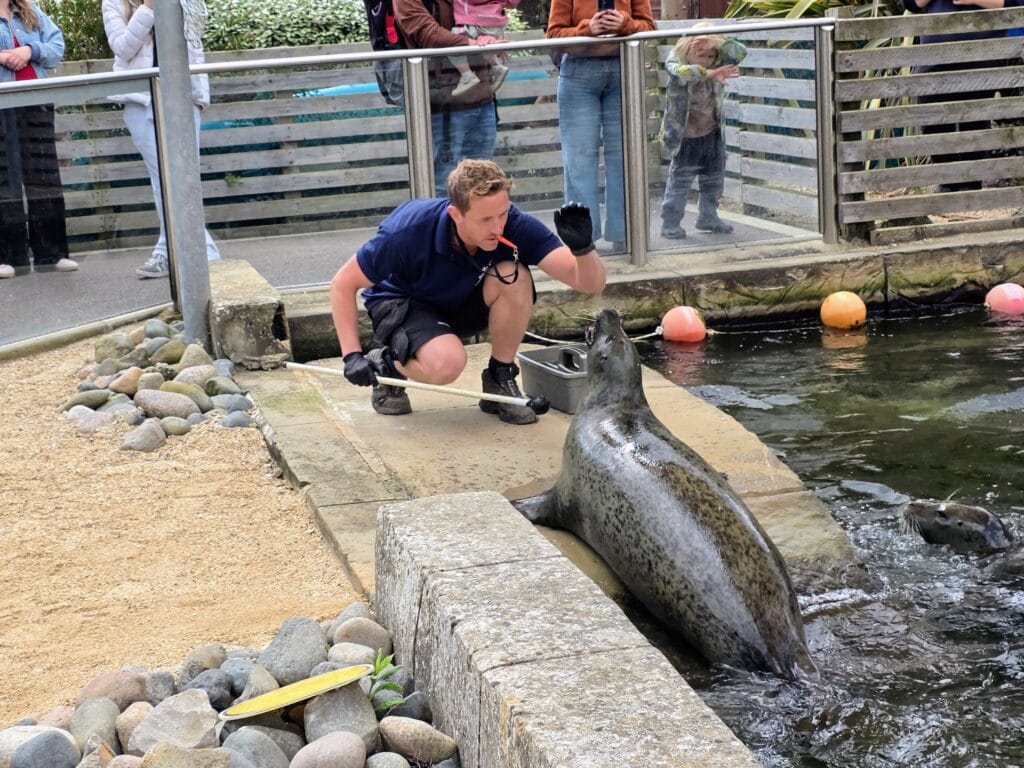 SEA LIFE weymouth Aquarium Review and money-saving tips, frugal mum guide