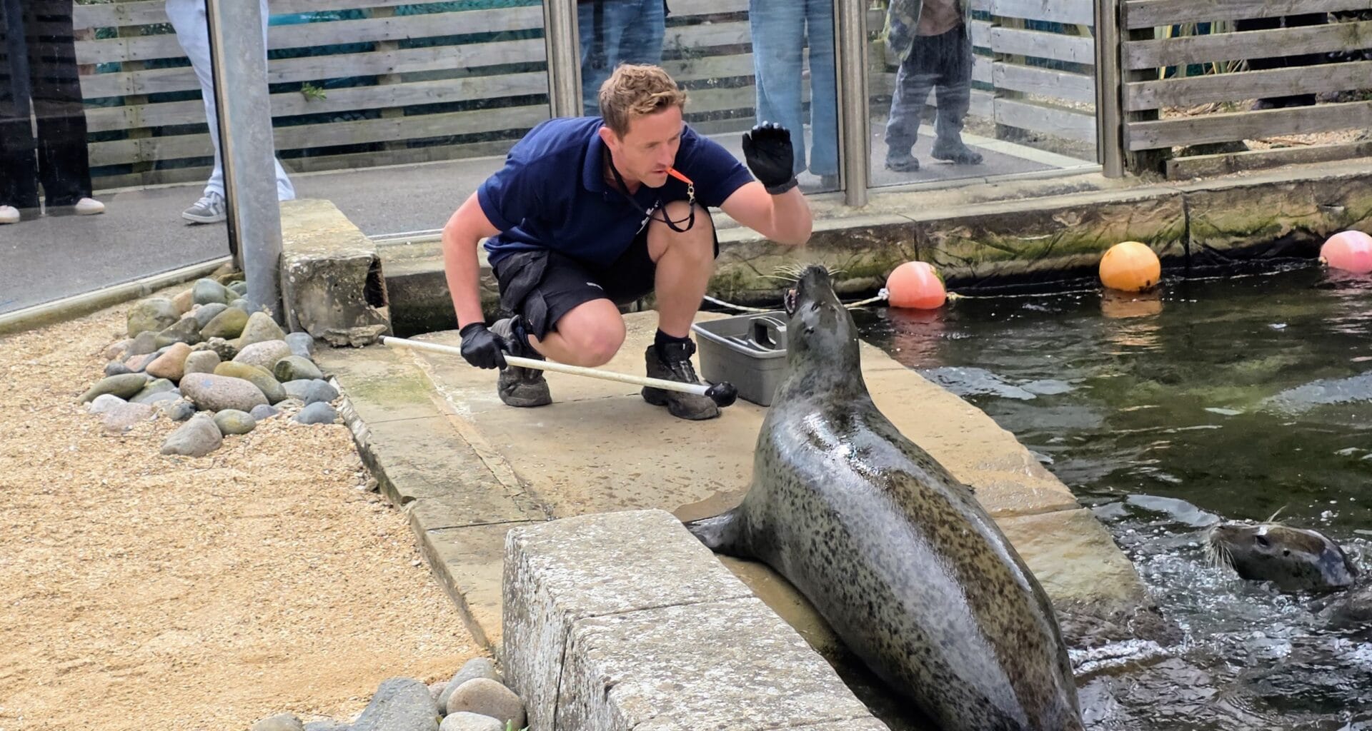 SEA LIFE weymouth Aquarium Review and money-saving tips, frugal mum guide