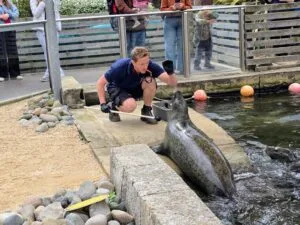 SEA LIFE weymouth Aquarium Review and money-saving tips, frugal mum guide