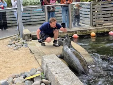 SEA LIFE weymouth Aquarium Review and money-saving tips, frugal mum guide