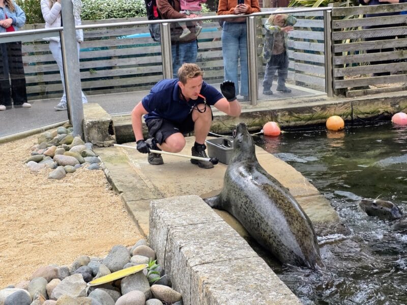 SEA LIFE weymouth Aquarium Review and money-saving tips, frugal mum guide