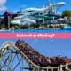 duinrell or efteling, frugal mum guide, the netherlands theme parks