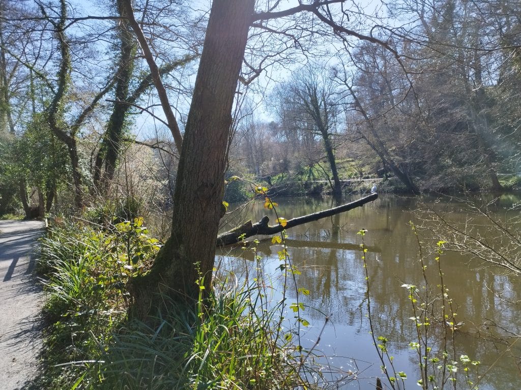 Kent with Kids, Brockhill Country Park Review, Hythe, free day out, frugal mum guide, photo of lake