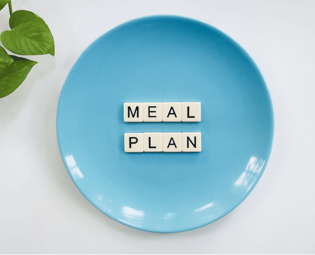 meal plan title