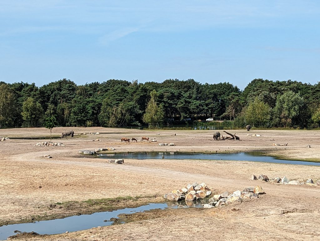 Beekse Bergen Safari Zoo, the Netherlands, walking, drive through safari, review, photo, frugal mum, eurocamp holiday