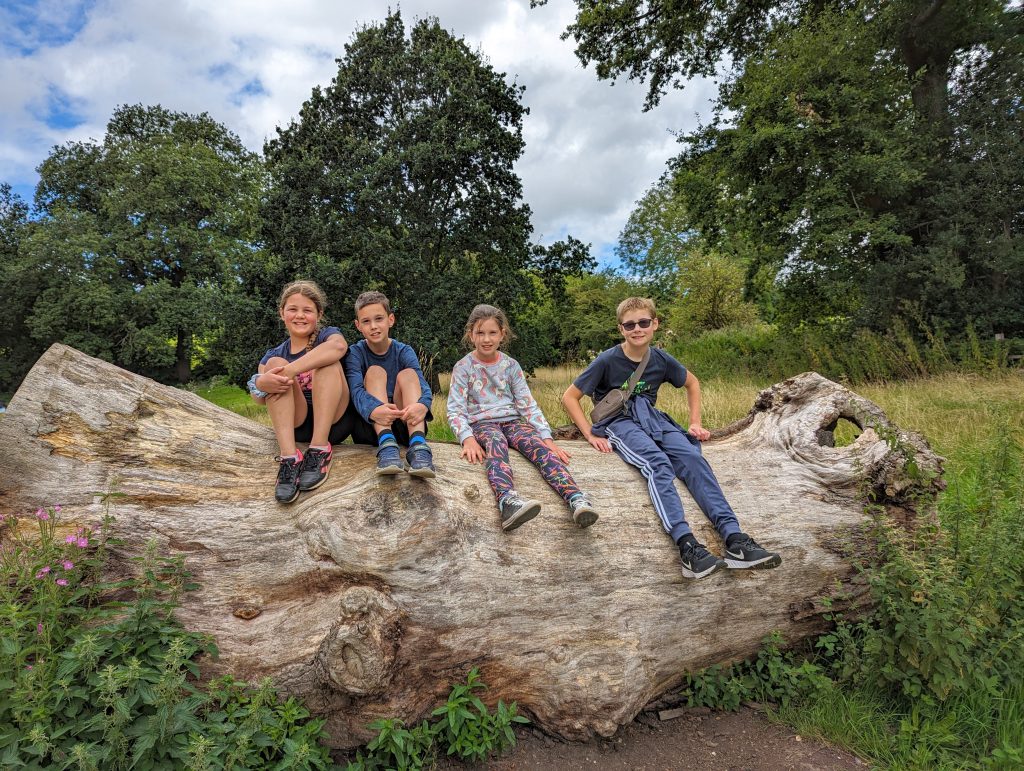 bodiam castle review, national trust, east sussex with kids, frugal mum guide, photo of children on log in grounds