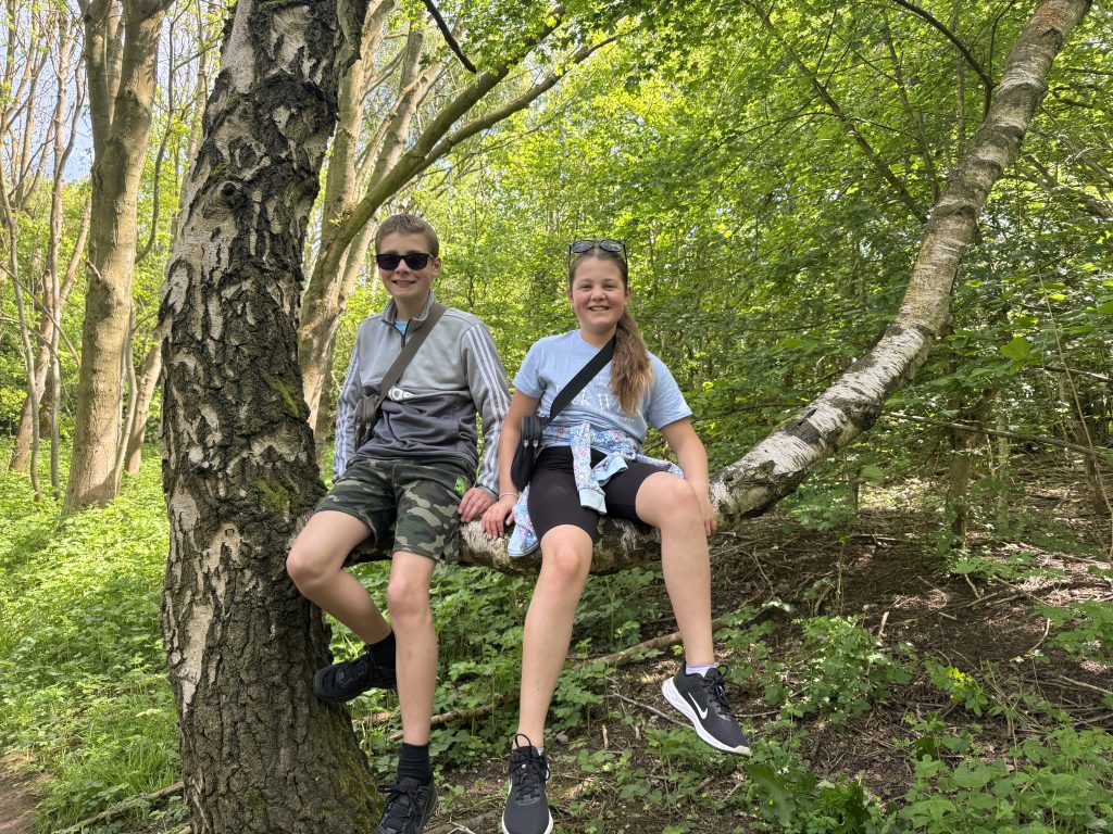 frugal mum children in tree