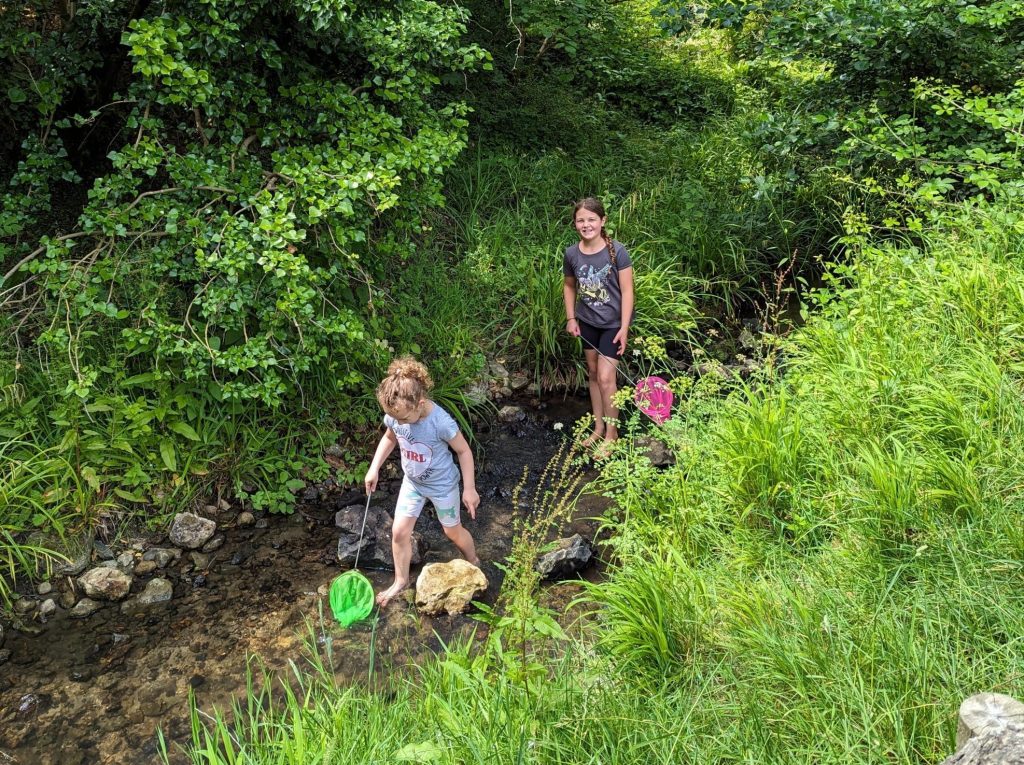 How to home educate on a budget, UK discounts, freebies & tips for travel, resources & days out guide, photo of children in stream