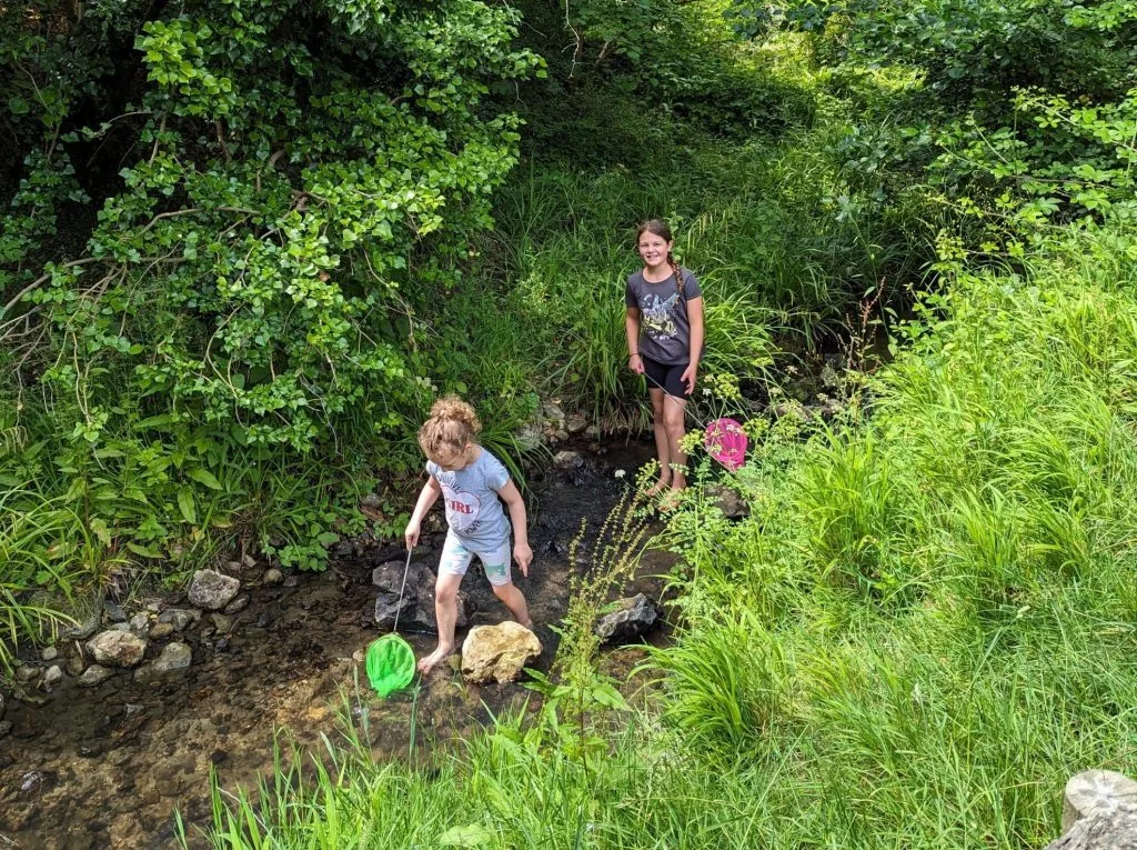 How to home educate on a budget, UK discounts, freebies & tips for travel, resources & days out guide, photo of children in stream