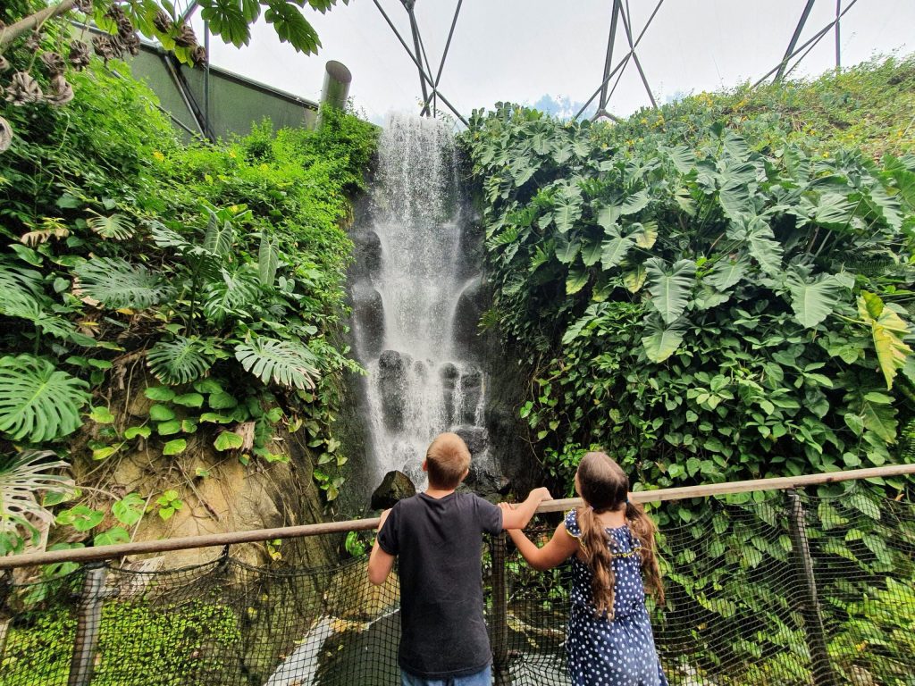 best things to do in Cornwall with kids, The Eden Project, rainforest dome, frugal mum children with waterfall photo