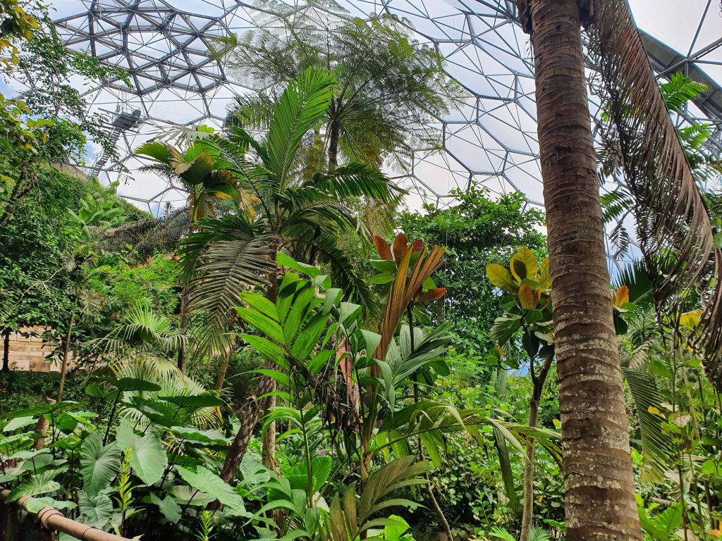 Cornwall with kids, family attractions, review, The Eden Project, rainforest dome, frugal mum photo