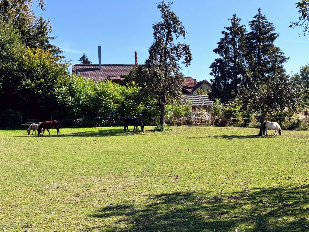 Eurocamp Holiday Review, Gitzenweiler Hof, Lindau, Bavaria, Germany, frugal mum photo horses