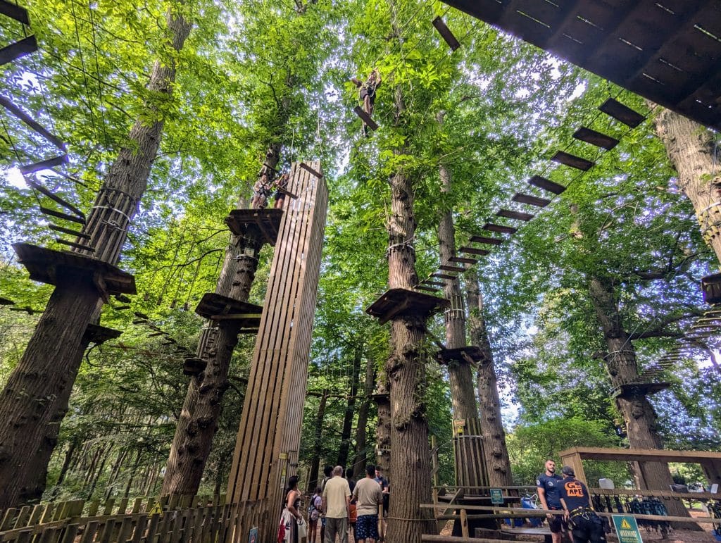 Kent with Kids, Go Ape at Leeds Castle Guide and Review, frugal mu, treetop adventure plus photos