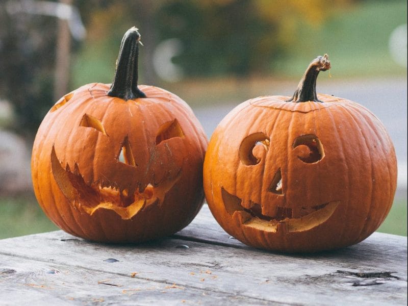 pumpkins