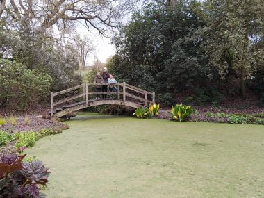 Kent with Kids, Hole Park, Rolvenden, day out, frugal mum family on bridge by pond