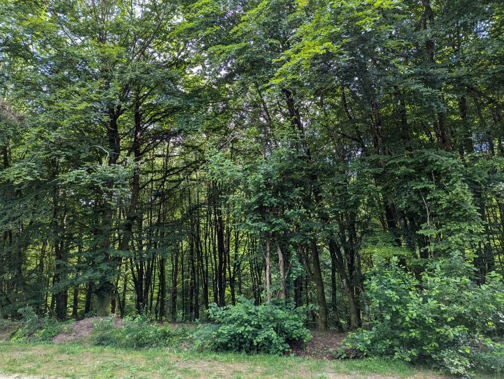 Eurocamp Holiday Review, Birkelt Village Campsite, Larochette, Luxembourg, frugal mum photo accommodation