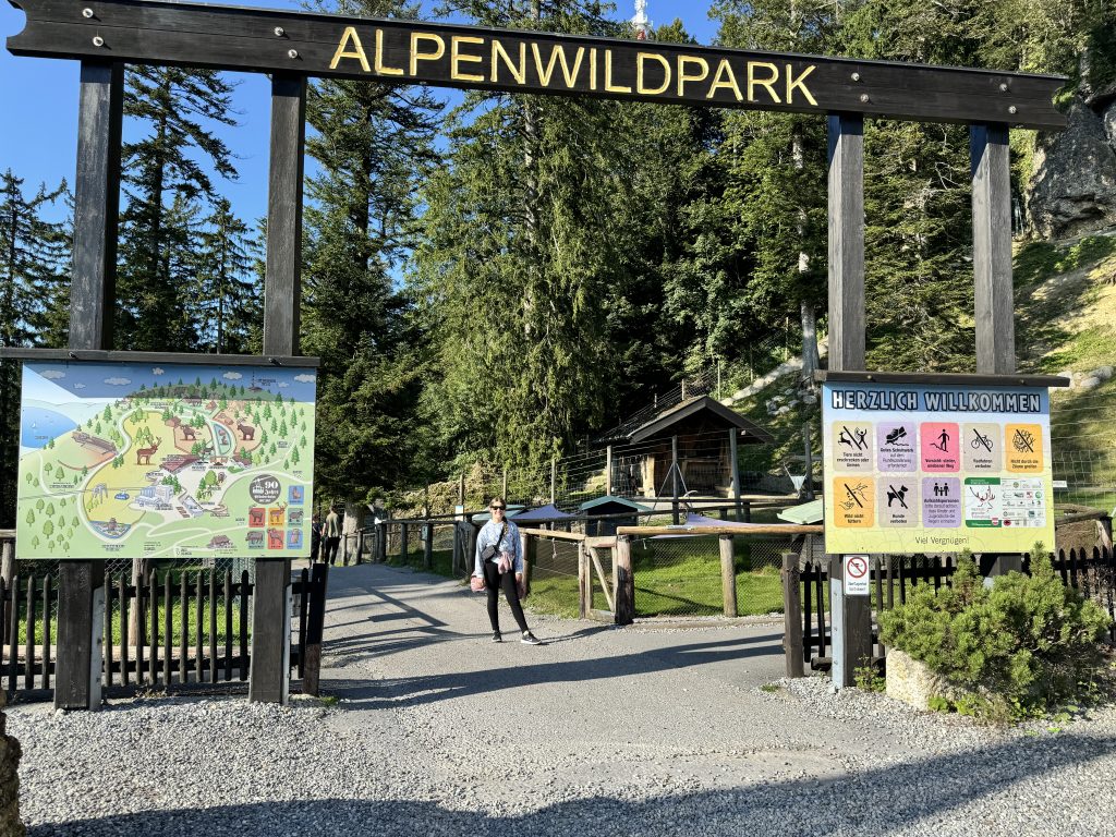Austria with kids, Pfänder Mountain Cable Car review, frugal mum photo of alpenwildpark