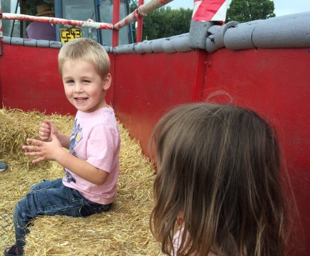 rare breeds animal centre, woodchurch, kent, farm, family day out, frugal mum children on tractor ride