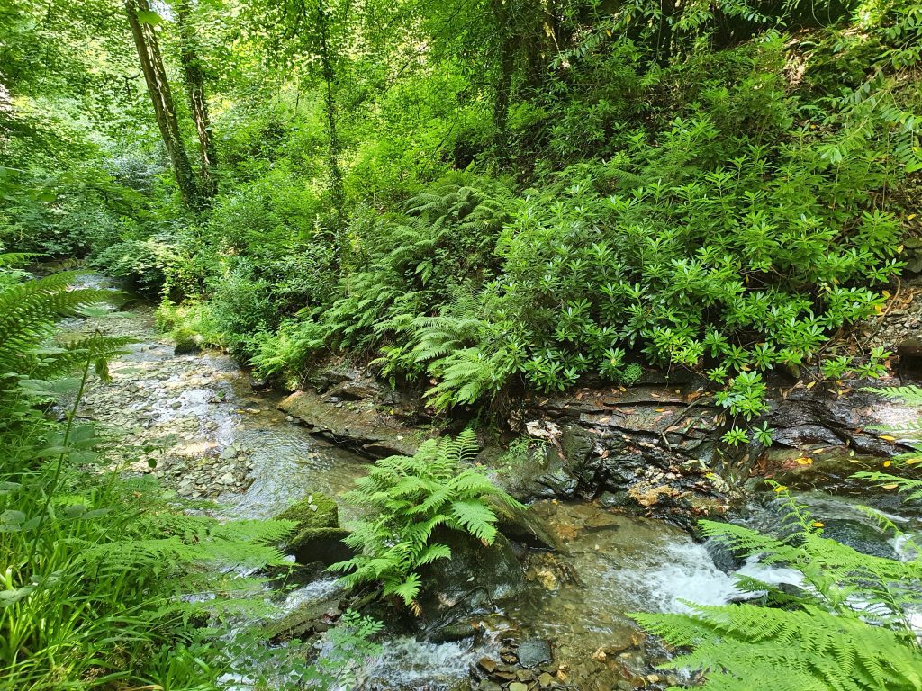 Cornwall with kids, family attractions, St Nectan's Glen, waterfall, stream photo, frugal mum review, tintagel