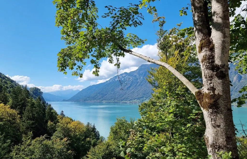 Switzerland, St Beatus Caves, Interlaken, view of lake thun, frugal mum photo, manor farm campsite, guide and review
