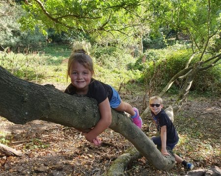 frugal mum children on tree branch, playing outside in nature, woodland walk